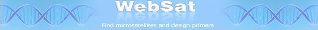 WebSat